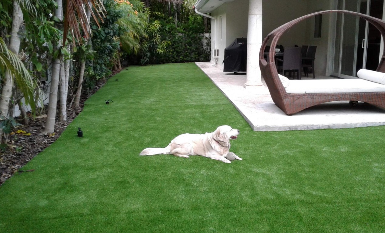 Happy dog enjoying pet-safe artificial grass with excellent drainage system